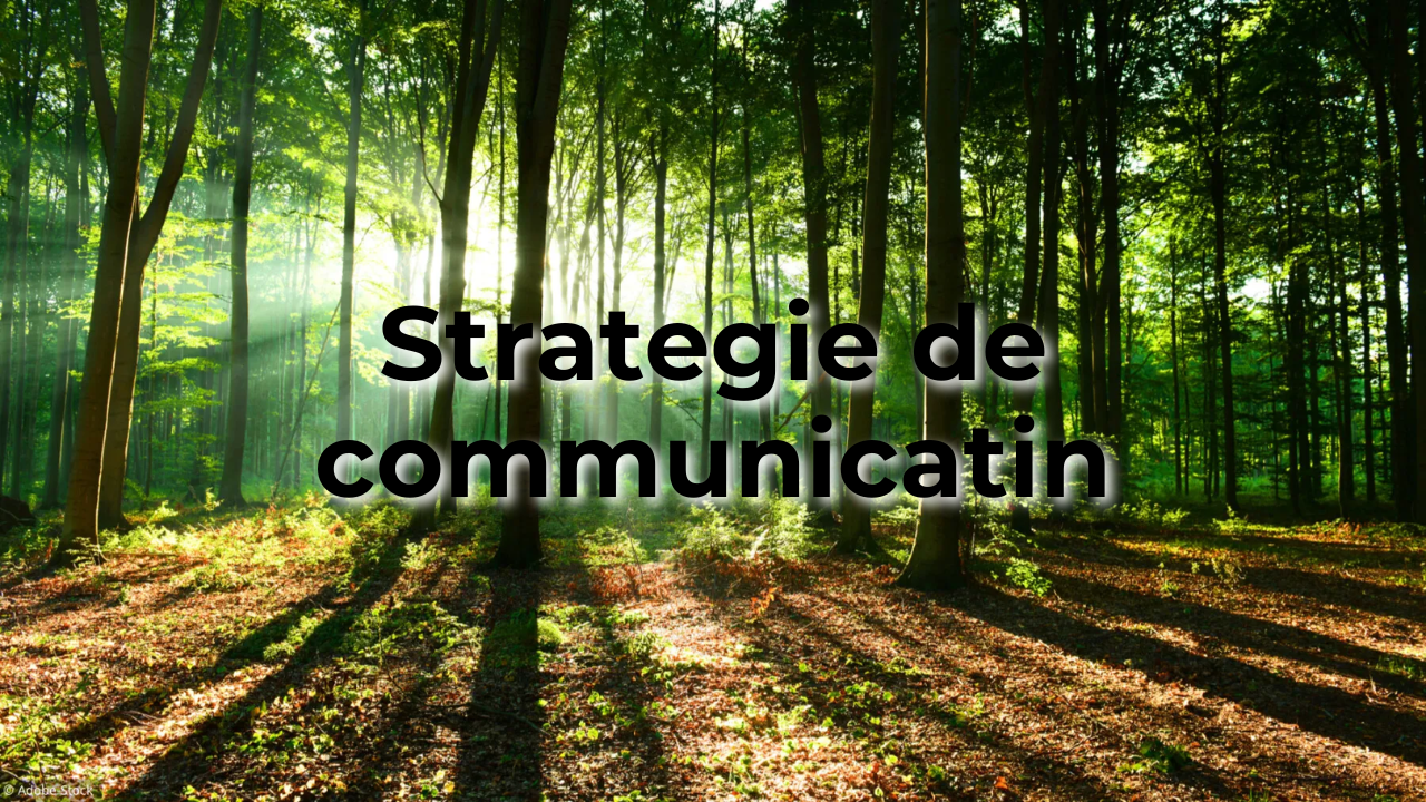 Projet 5
